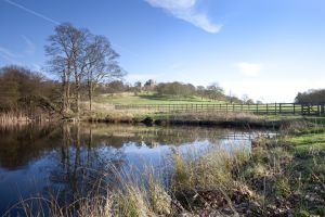 Hardwick Hall 22 sm.jpg